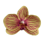 Orchid Bloom Sculpture