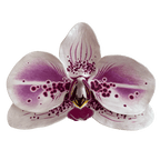 Orchid Bloom Sculpture