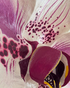 Orchid Bloom Sculpture