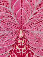 Orchid Bloom Sculpture
