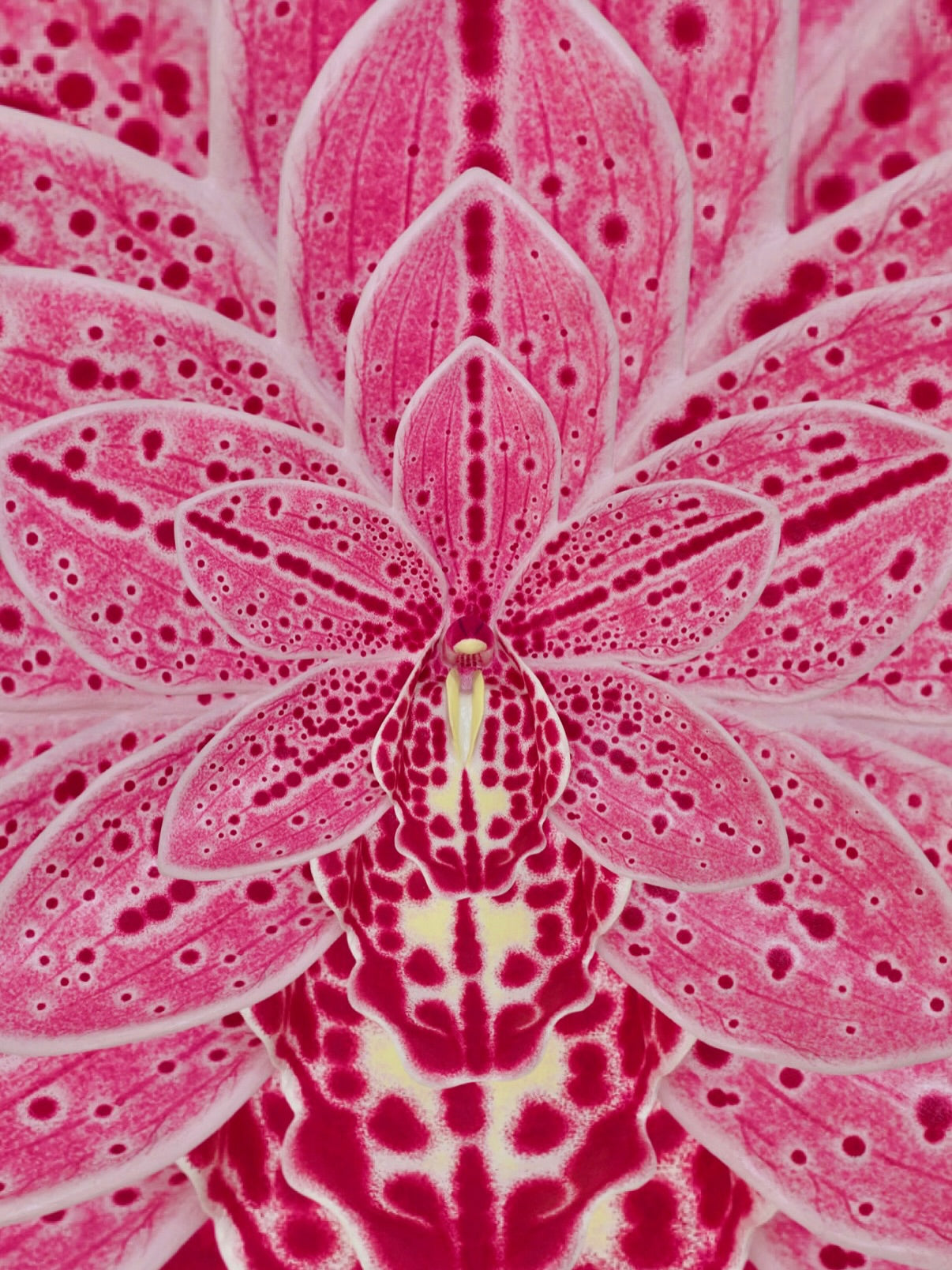 Orchid Bloom Sculpture